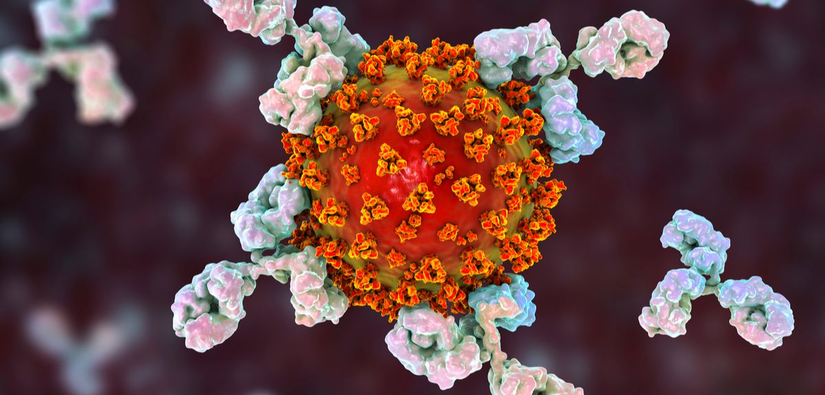 Oxford researchers identify levels of antibody protection required to